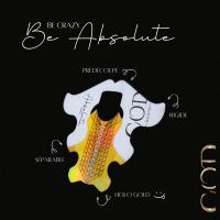 Absolute form 2 en 1 1 