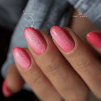 Sorbet 1